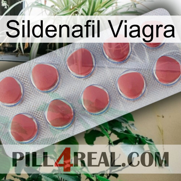 Sildenafil Viagra 18